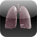 Grade 12 Biology: The Respiratory System